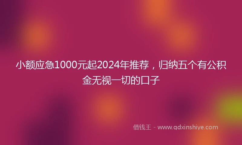 小额应急1000元起2024年推荐，归纳五个有公积金无视一切的口子