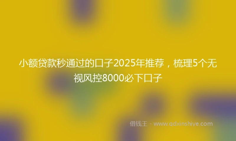 小额贷款秒通过的口子2025年推荐，梳理5个无视风控8000必下口子