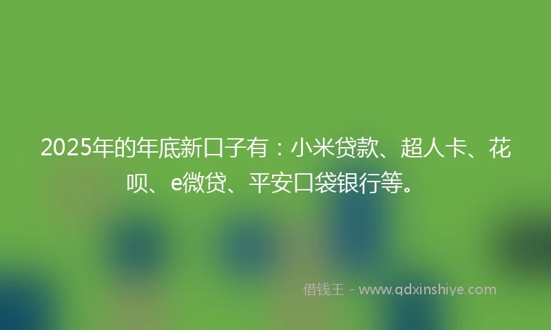 2025年的年底新口子有：小米贷款、超人卡、花呗、e微贷、平安口袋银行等。