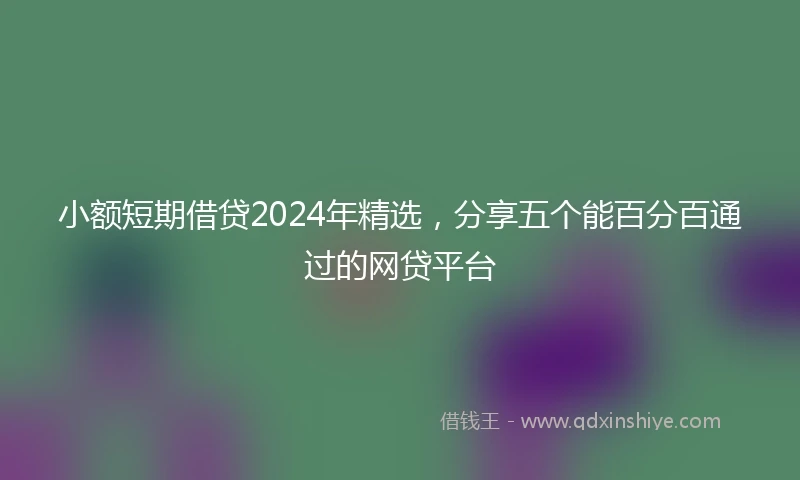 小额短期借贷2024年精选，分享五个能百分百通过的网贷平台