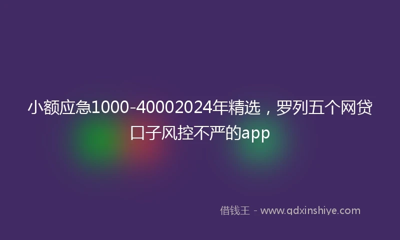 小额应急1000-40002024年精选，罗列五个网贷口子风控不严的app