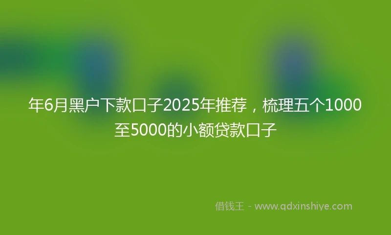 年6月黑户下款口子2025年推荐，梳理五个1000至5000的小额贷款口子