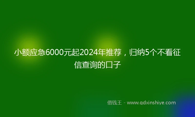 小额应急6000元起2024年推荐，归纳5个不看征信查询的口子