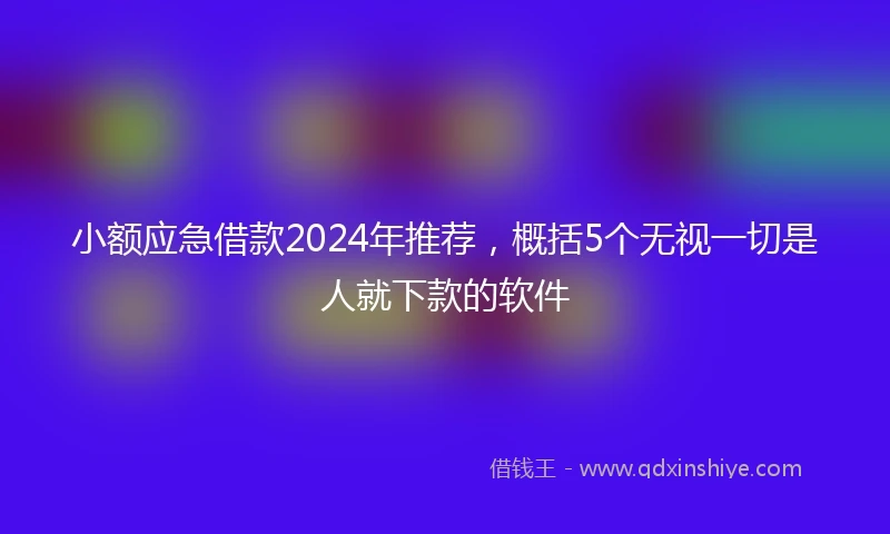 小额应急借款2024年推荐，概括5个无视一切是人就下款的软件