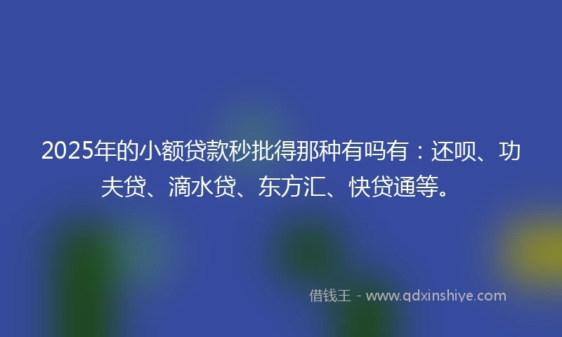 2025年的小额贷款秒批得那种有吗有：还呗、功夫贷、滴水贷、东方汇、快贷通等。