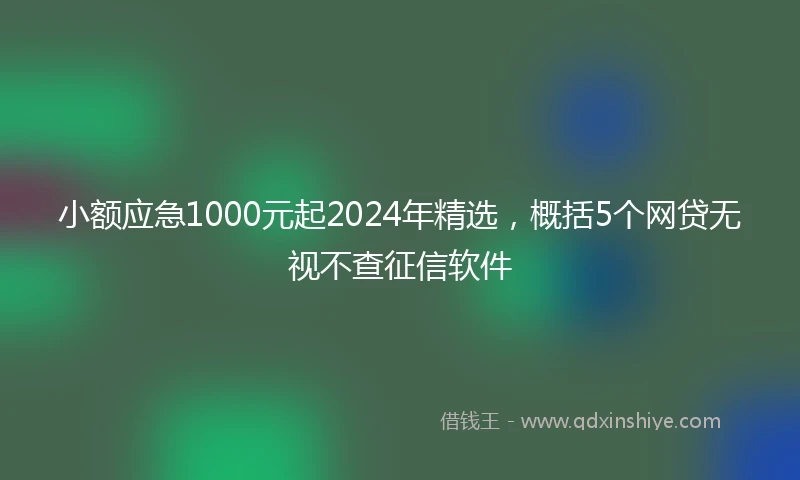 小额应急1000元起2024年精选，概括5个网贷无视不查征信软件