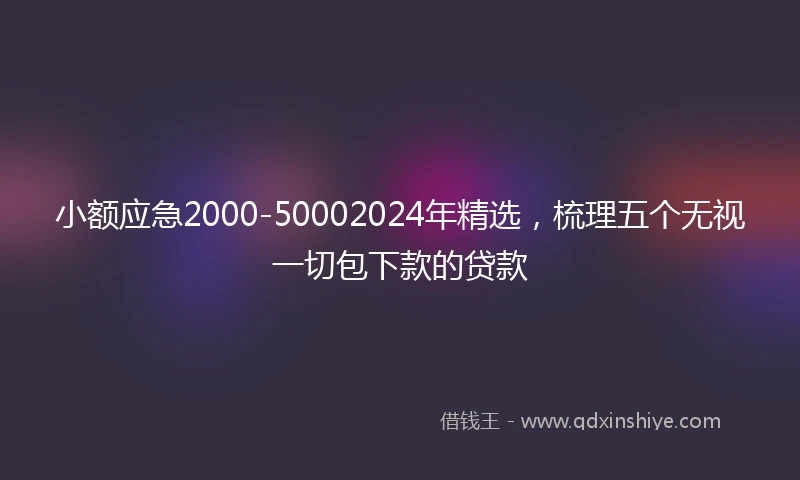小额应急2000-50002024年精选，梳理五个无视一切包下款的贷款
