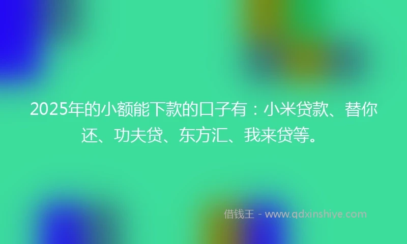 2025年的小额能下款的口子有：小米贷款、替你还、功夫贷、东方汇、我来贷等。