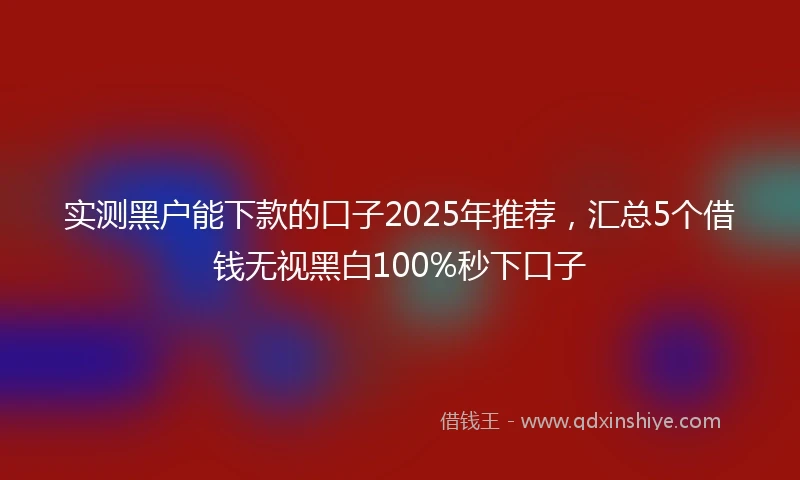 实测黑户能下款的口子2025年推荐，汇总5个借钱无视黑白100%秒下口子