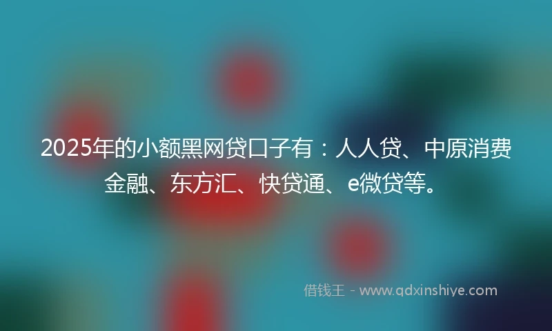 2025年的小额黑网贷口子有：人人贷、中原消费金融、东方汇、快贷通、e微贷等。