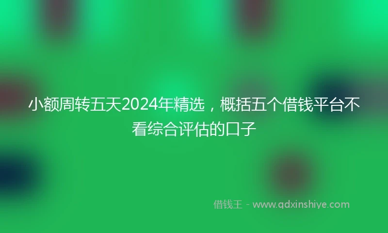 小额周转五天2024年精选，概括五个借钱平台不看综合评估的口子