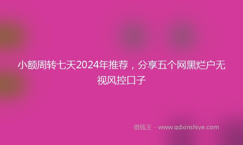 小额周转七天2024年推荐，分享五个网黑烂户无视风控口子