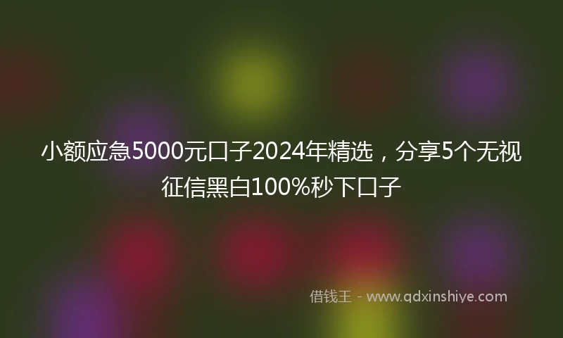 小额应急5000元口子2024年精选，分享5个无视征信黑白100%秒下口子