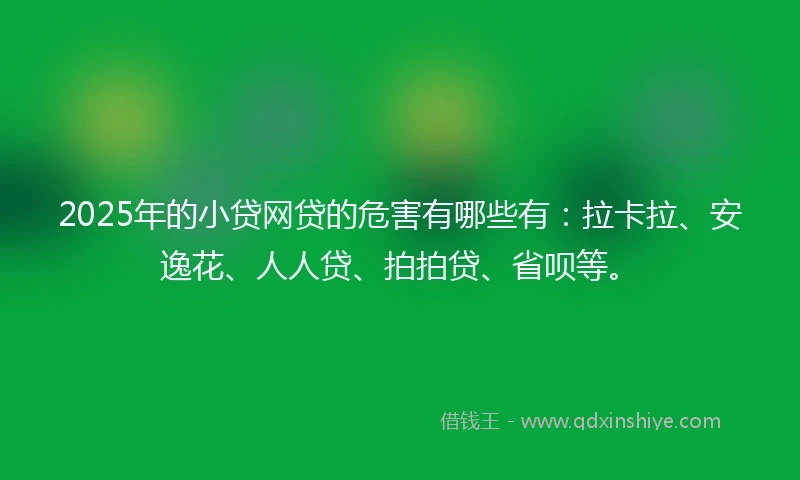 2025年的小贷网贷的危害有哪些有：拉卡拉、安逸花、人人贷、拍拍贷、省呗等。
