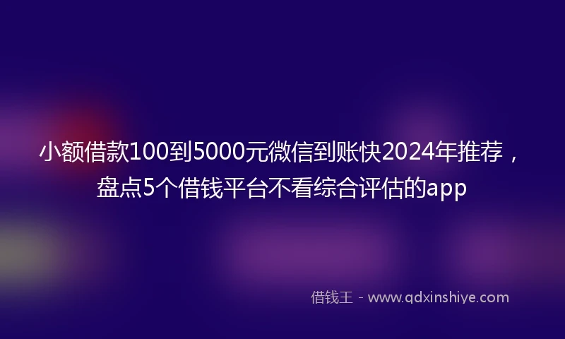 小额借款100到5000元微信到账快2024年推荐，盘点5个借钱平台不看综合评估的app