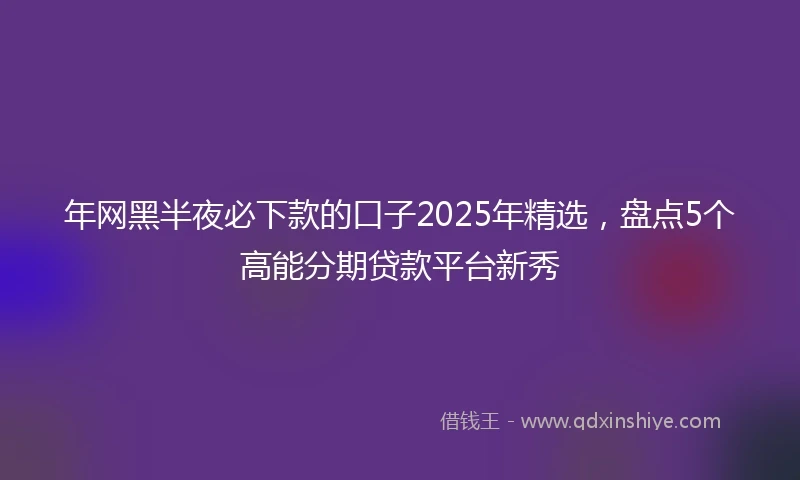 年网黑半夜必下款的口子2025年精选，盘点5个高能分期贷款平台新秀