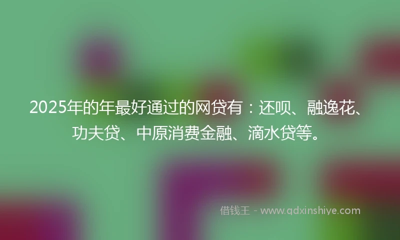 2025年的年最好通过的网贷有：还呗、融逸花、功夫贷、中原消费金融、滴水贷等。