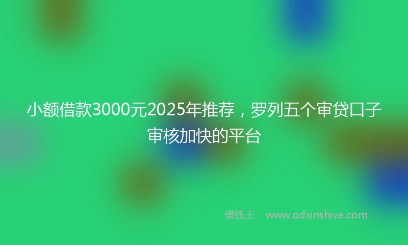小额借款3000元2025年推荐，罗列五个审贷口子审核加快的平台