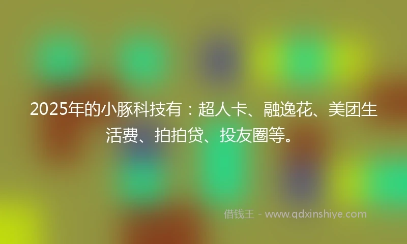 2025年的小豚科技有：超人卡、融逸花、美团生活费、拍拍贷、投友圈等。