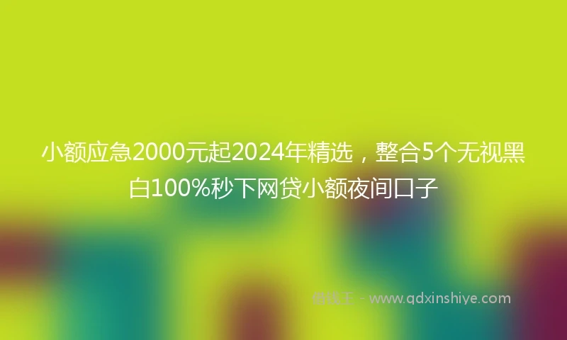 小额应急2000元起2024年精选，整合5个无视黑白100%秒下网贷小额夜间口子
