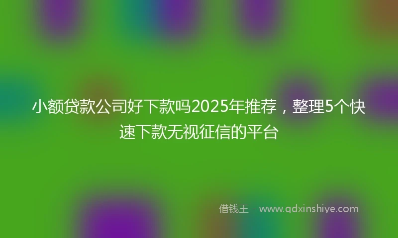 小额贷款公司好下款吗2025年推荐，整理5个快速下款无视征信的平台