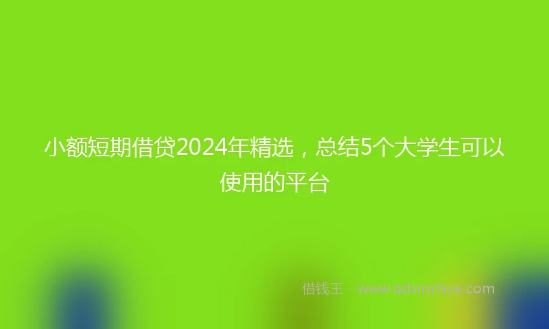 小额短期借贷2024年精选，总结5个大学生可以使用的平台