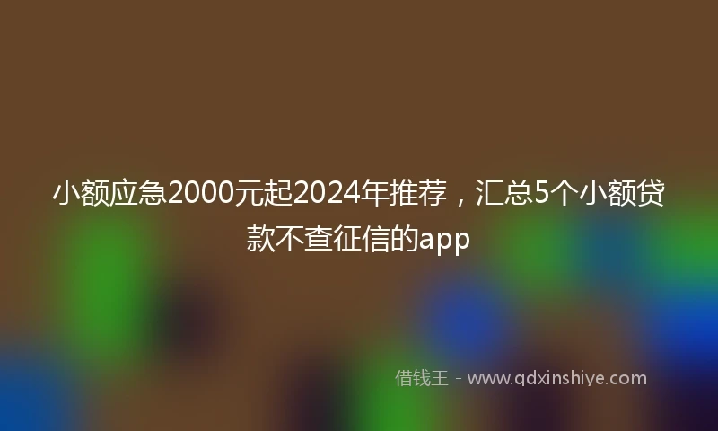 小额应急2000元起2024年推荐，汇总5个小额贷款不查征信的app