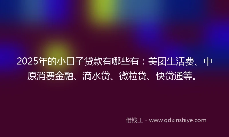 2025年的小口子贷款有哪些有：美团生活费、中原消费金融、滴水贷、微粒贷、快贷通等。