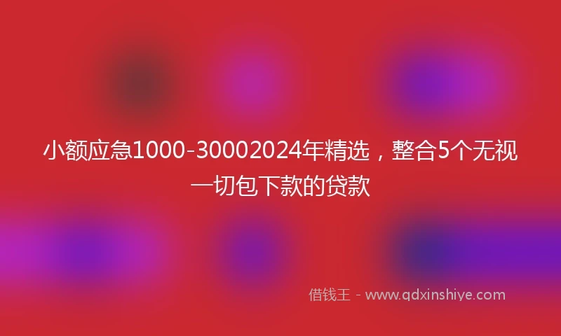 小额应急1000-30002024年精选，整合5个无视一切包下款的贷款