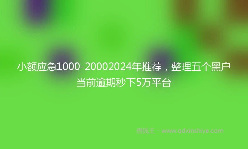 小额应急1000-20002024年推荐，整理五个黑户当前逾期秒下5万平台