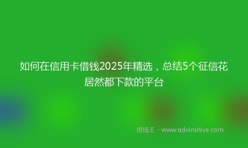 如何在信用卡借钱2025年精选，总结5个征信花居然都下款的平台
