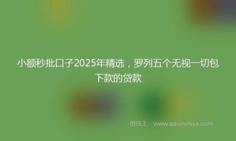 小额秒批口子2025年精选，罗列五个无视一切包下款的贷款