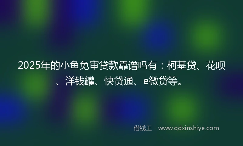 2025年的小鱼免审贷款靠谱吗有：柯基贷、花呗、洋钱罐、快贷通、e微贷等。