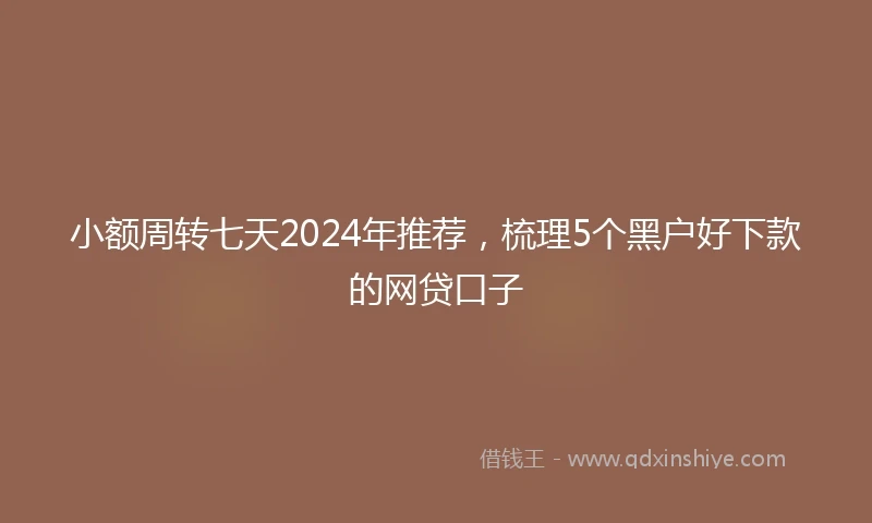 小额周转七天2024年推荐，梳理5个黑户好下款的网贷口子