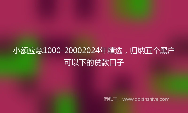 小额应急1000-20002024年精选，归纳五个黑户可以下的贷款口子