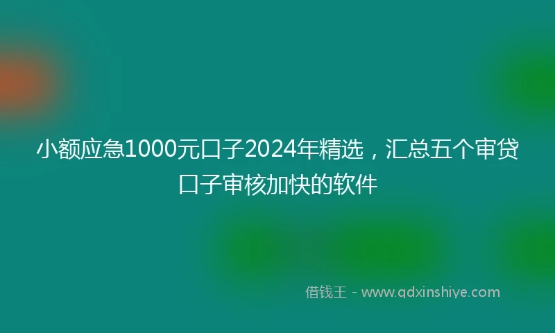 小额应急1000元口子2024年精选，汇总五个审贷口子审核加快的软件
