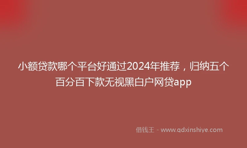 小额贷款哪个平台好通过2024年推荐，归纳五个百分百下款无视黑白户网贷app