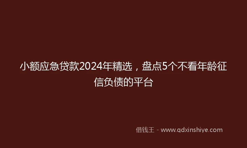 小额应急贷款2024年精选，盘点5个不看年龄征信负债的平台
