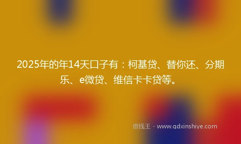 2025年的年14天口子有：柯基贷、替你还、分期乐、e微贷、维信卡卡贷等。