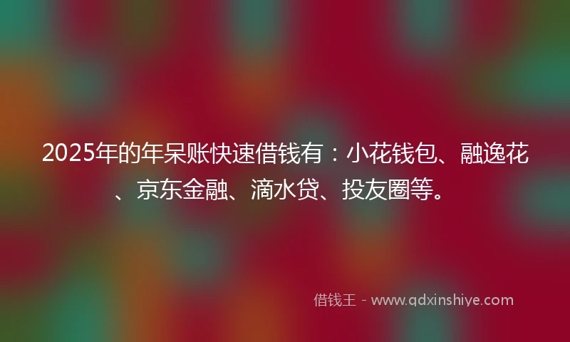 2025年的年呆账快速借钱有：小花钱包、融逸花、京东金融、滴水贷、投友圈等。