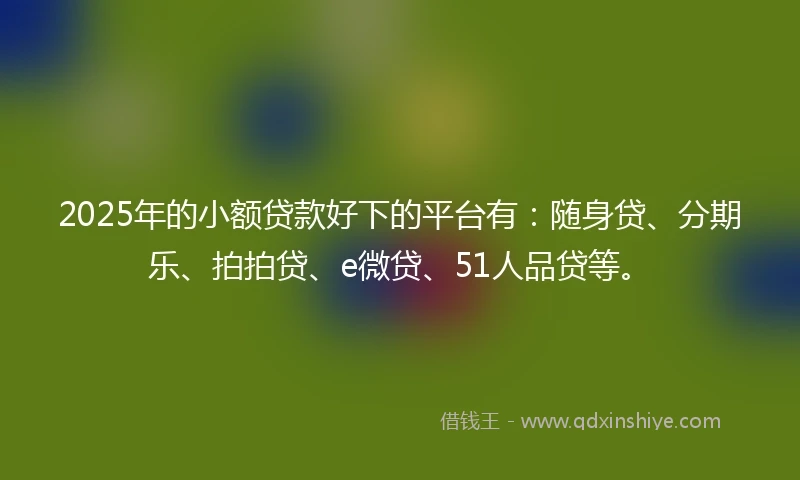 2025年的小额贷款好下的平台有：随身贷、分期乐、拍拍贷、e微贷、51人品贷等。