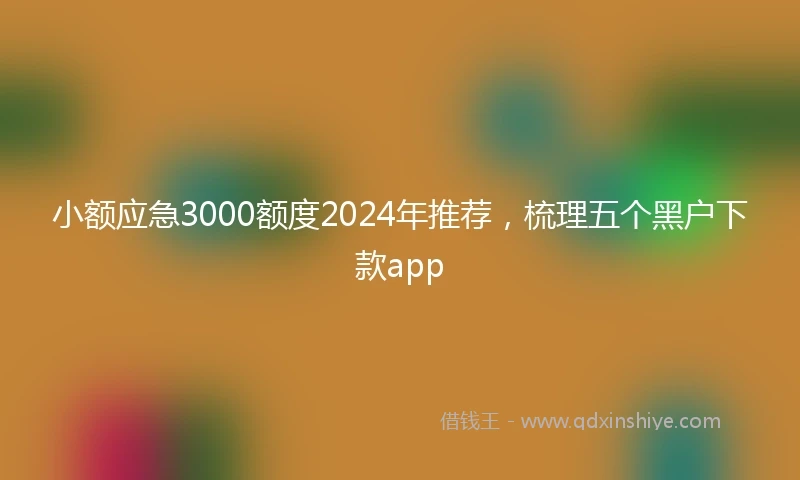 小额应急3000额度2024年推荐，梳理五个黑户下款app