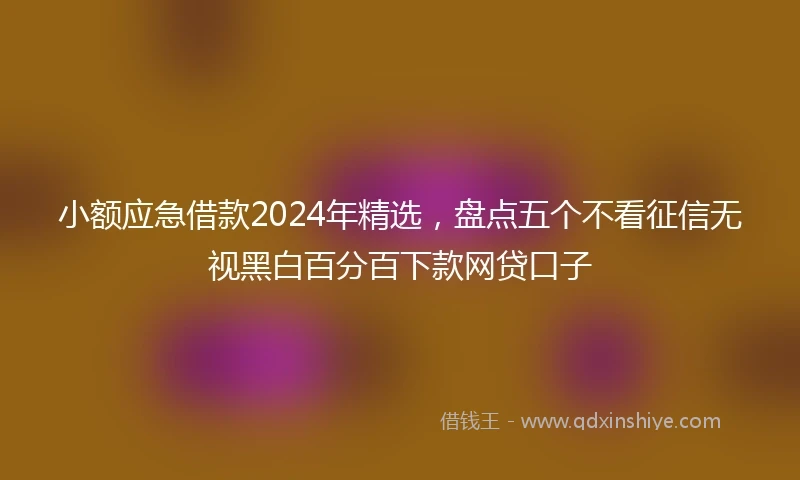 小额应急借款2024年精选，盘点五个不看征信无视黑白百分百下款网贷口子