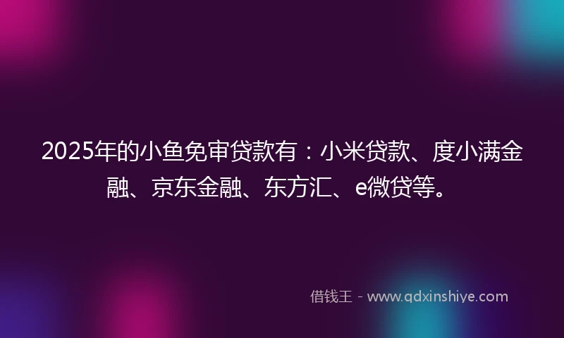 2025年的小鱼免审贷款有:小米贷款、度小满金融、京东金融、东方汇、e微贷等。