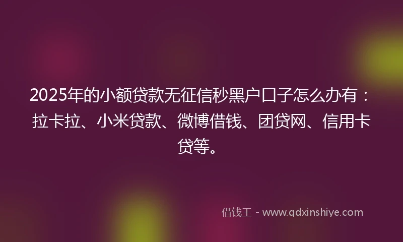 2025年的小额贷款无征信秒黑户口子怎么办有：拉卡拉、小米贷款、微博借钱、团贷网、信用卡贷等。