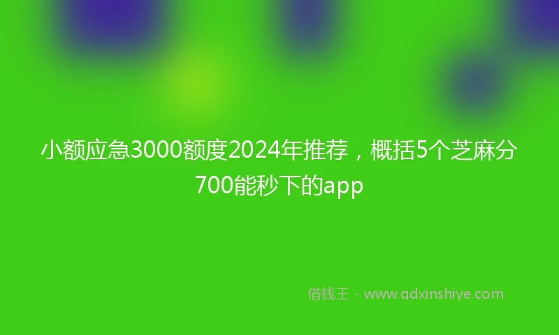 小额应急3000额度2024年推荐,概括5个芝麻分700能秒下的app