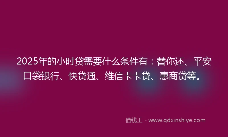 2025年的小时贷需要什么条件有：替你还、平安口袋银行、快贷通、维信卡卡贷、惠商贷等。