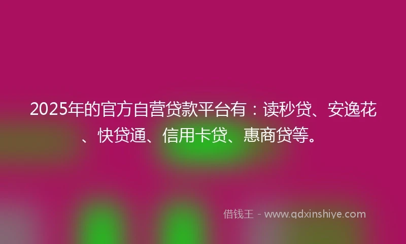 2025年的官方自营贷款平台有：读秒贷、安逸花、快贷通、信用卡贷、惠商贷等。