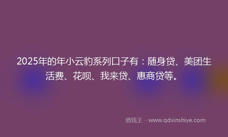 2025年的年小云豹系列口子有：随身贷、美团生活费、花呗、我来贷、惠商贷等。