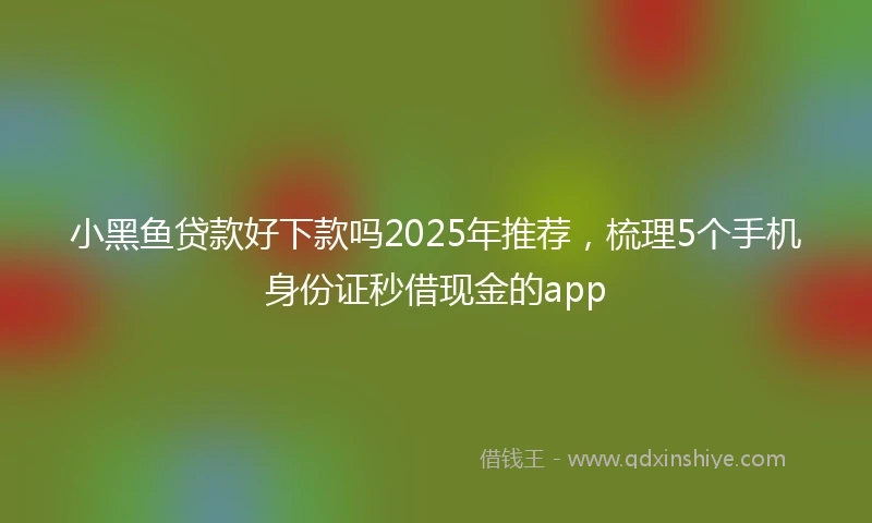 小黑鱼贷款好下款吗2025年推荐，梳理5个手机身份证秒借现金的app